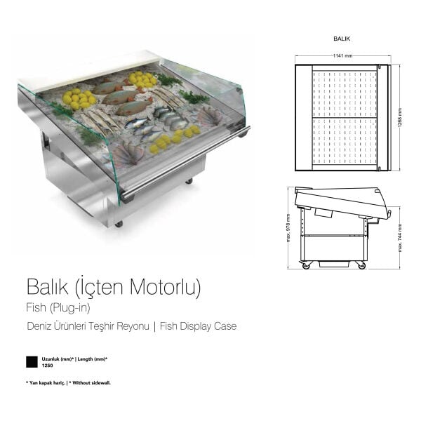Balık Teşhir Reyonu – İçten Motorlu